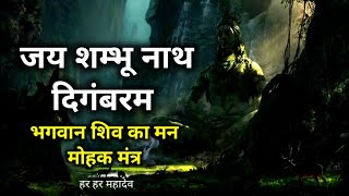 जयशंभुनाथ दिगंबरम् करुणाकरं जगदीश्वरम् || Jai Shambhunath Digambaram || Shiv Stotram