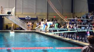 301c 1m reverse dive tuck