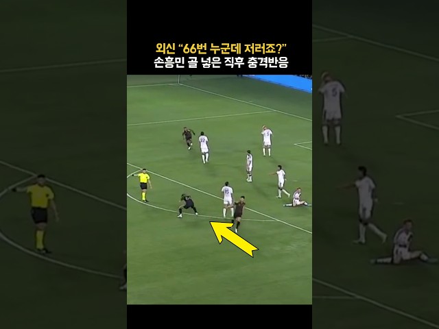 66번 저렇게까지 좋아하나요? 손흥민의 골을 누구보다 간절히 원했던 슈와니에르