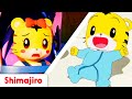 Shimajiro Is A Baby The Cutest Songs Stories For Little Ones Videos For Kids