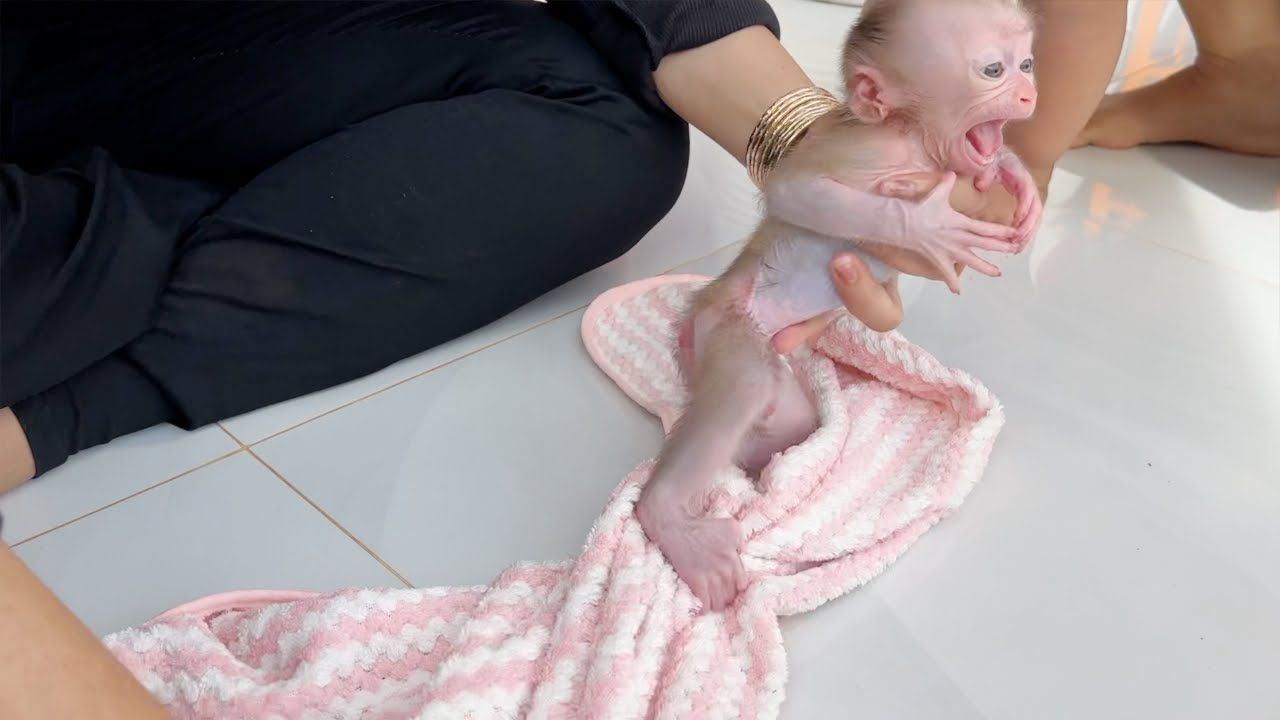Baby Tauch Burst Out Loud Voice When Mom Take Off Towel Wrapping