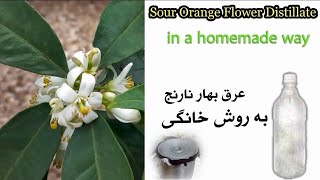 #عرق_بهار_نارنج: آموزش تهیه عرق بهار نارنج به روش سنتی sour orange flower distillate