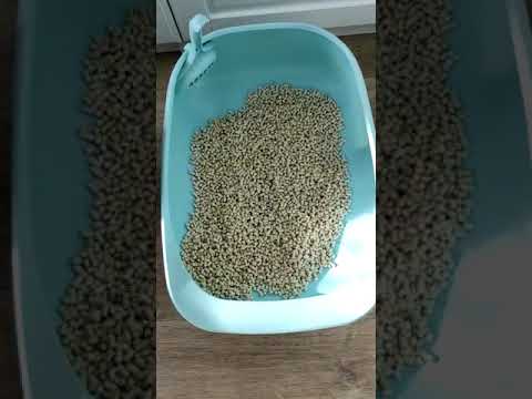 Системный туалет для кошек