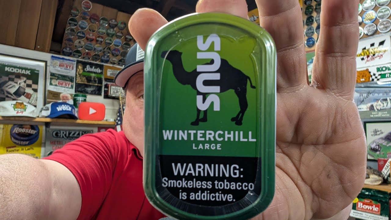 Camel Snus Winterchill Large 