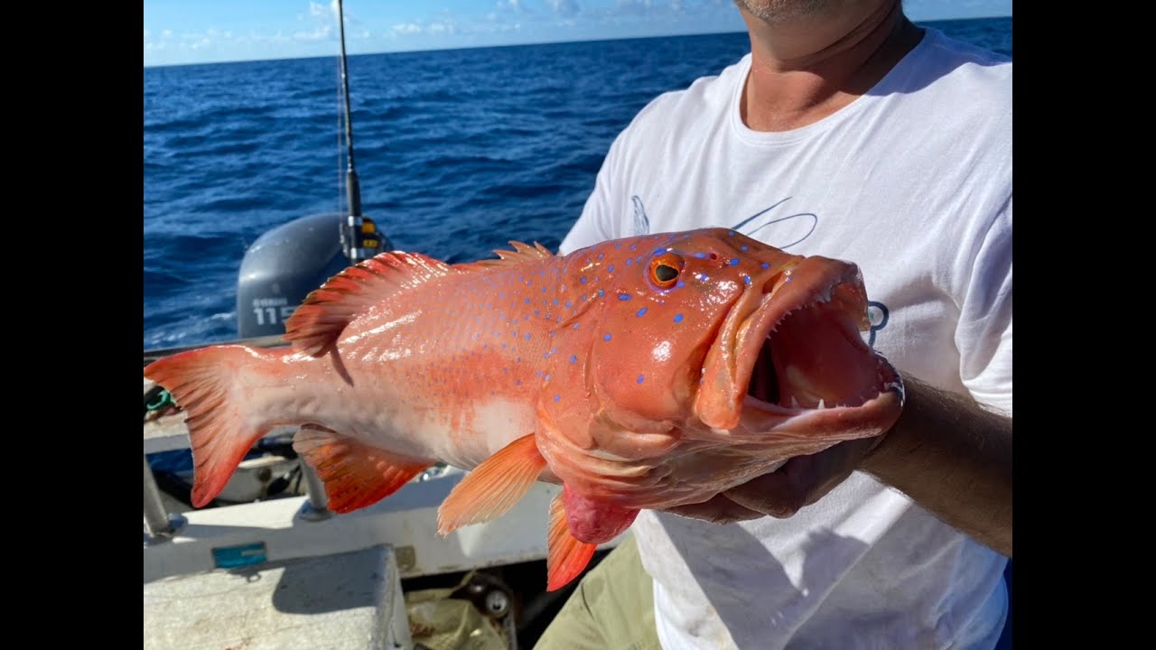 A weekend camping at 1770 Bustard Head