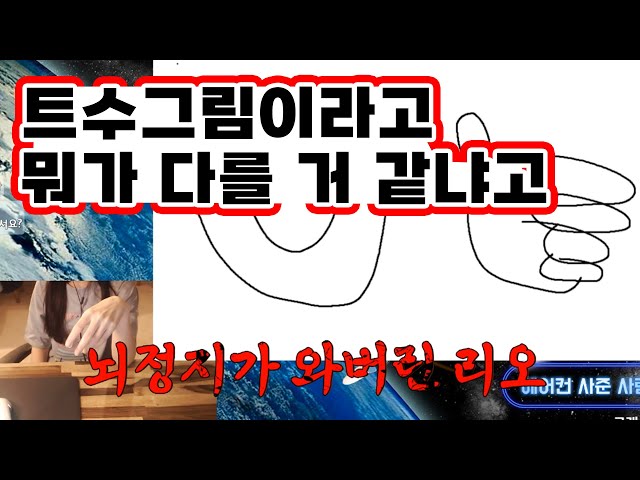 [트수그림맞히기] 그 스트리머에 그 트수