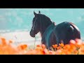 Mephistopheles || Equestrian Music Video