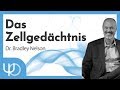 Das Zellgedächtnis ❤️🧠 | Dr. Bradley Nelson (deutsch)