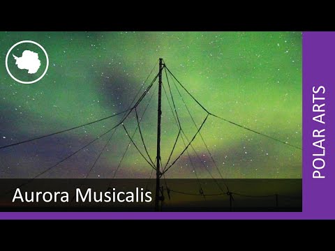 Aurora Musicalis Compilation: Sounds of Space Project