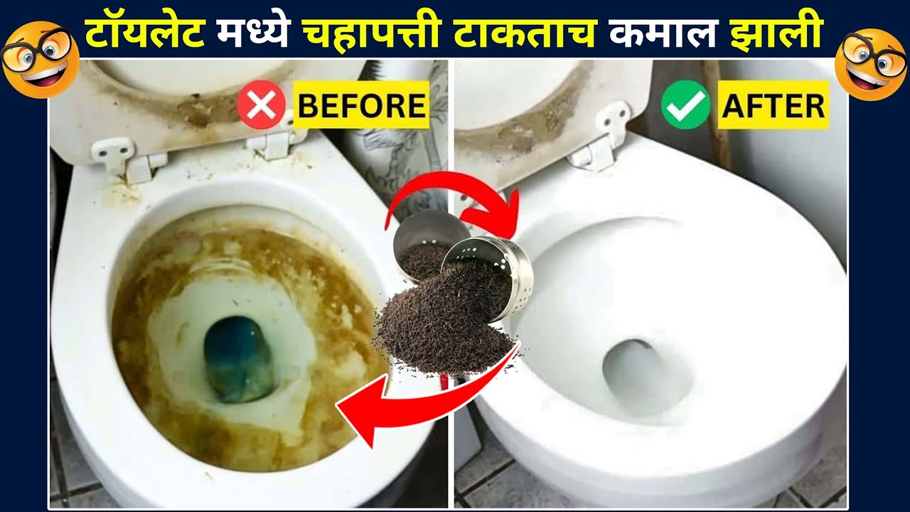 टाॅयलेट मध्ये चहापत्ती टाकताच कमाल झाली😱 How to Clean Toilet Bowl