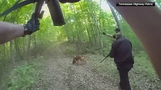 Manhunt for retired Special Forces soldier accused of shooting his wife enters 5th day