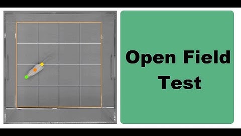 Open Field Apparatus Experiment | Locomotor Activity | Anti-Anxiety Study