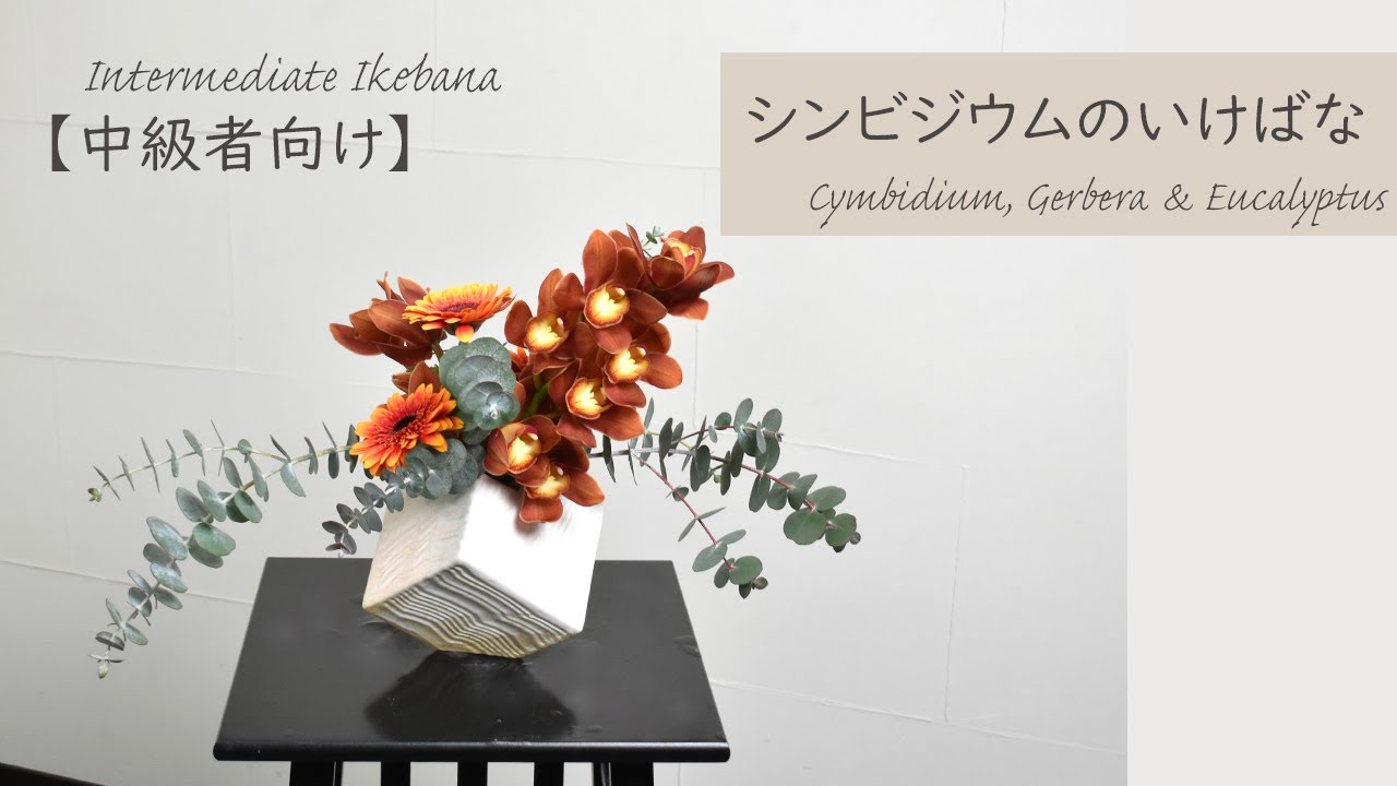 【中級者向けシンビジウムの生け花】 初心者でもコツが分かればとっても簡単！ 生け方の基本からアレンジまでサクッと紹介。Japanese ikebana lesson for beginners