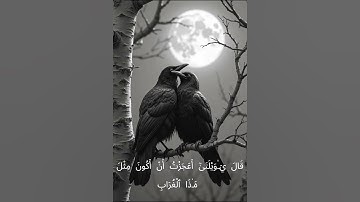 تألق الشيخ سيد سعيد رحمة الله عليه - مقطع من سورة المائدة #سورة_المائدة  #المصحف