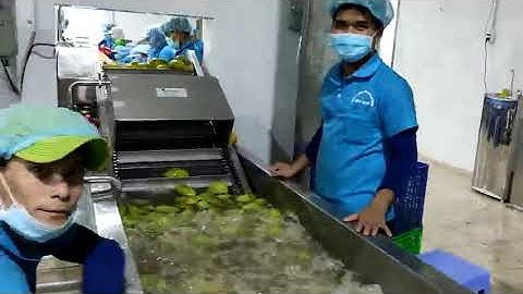 MÁY RỬA XOÀI VIETWASH