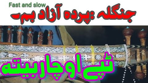 Pashto tapy charbita jangla parda fast and slow motion by mussawir shah