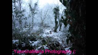 Photography..... :D Photography..... :D