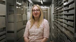 Inside the Museum: Natural Sciences