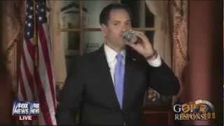 Marco Rubio Harlem Gulp
