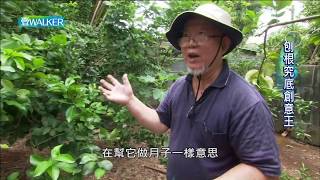 壹Walker-第266集 part1刨根究底創意王