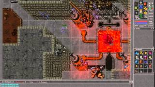 Tibia Pk Evo united net