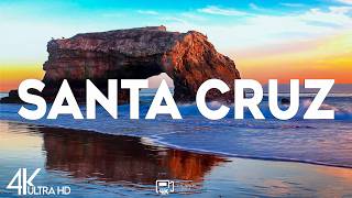 Top 10 Best things to do in Santa Cruz, California [Santa Cruz Travel Guide 2026]