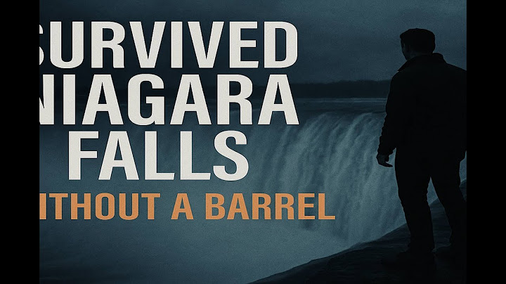 The Man Who Survived Niagara Falls — Without a Barrel