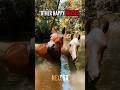 POV: Born to run, forced to obey. 🐎🏇☠️ ( Abused Horse )
