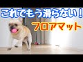 犬が滑らないオススメのフロアマット！！フレンチブルドッグのルーク【Luke VLOG #63】