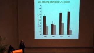 Famous Snow is Good Wealth