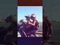dog riding a motor bike