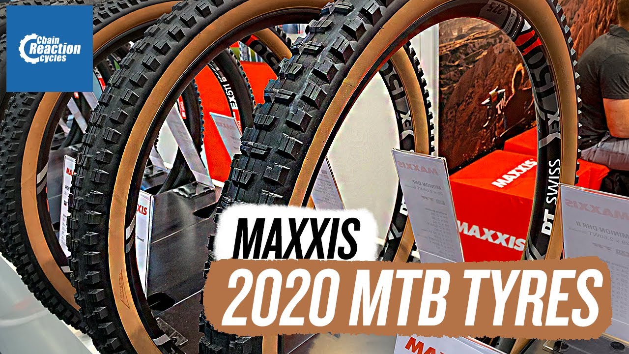 maxxis assegai 29 skinwall