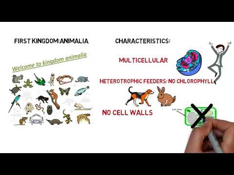 生物学-分類、5つの王国