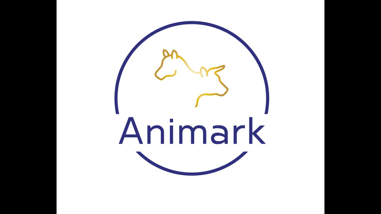 Animark Pregscan Mare Demonstration - YouTube