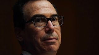 Secretary Mnuchin is operating in territory he may not fully understand: Analyst