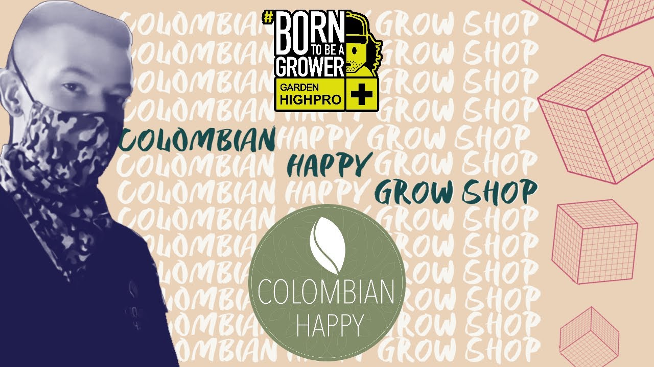 Colombian Happy Grow Shop en De Visita al Grow con Studio Garden