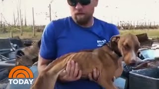 ‘Miracle’ Dog Found Alive in Bahamas Rubble 3 Weeks After Storm | TODAY ‘Miracle’ Dog Found Alive in Bahamas Rubble 3 Weeks After Storm | TODAY