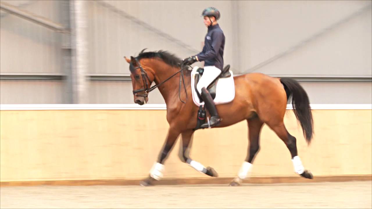 Matt Hicks explains how to ride shoulder-in