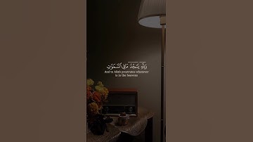 أولم يروا إلى ما خلق الله من شيء يتفيأ ظلاله عن اليمين والشمائل | سورة النحل | القارئ سعد الغامدي