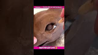 Making Pterodactyl๐ with 1lakh Chocolate๐คฏ || wait for last look ๐| #shorts #avengers #experiment