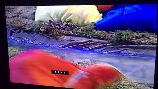 Tutter And Pip And Pop Screaming