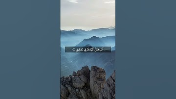 سورة الفيل بصوت الشيخ أنس العمادي