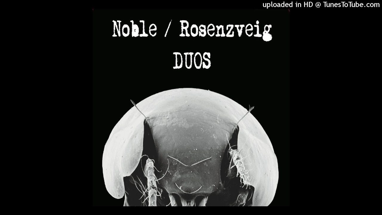 Watch Noble / Rosenzveig - VII on YouTube Watch Noble / Rosenzveig - VII on YouTube