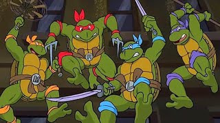 Çizgi Film Ninja Kaplumbağalar 2002 Yılı Vhs Kayıt
