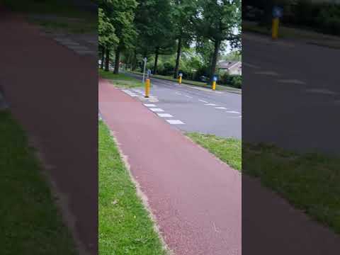 De Grote Beer , Veenendaal,  The Netherlands ????