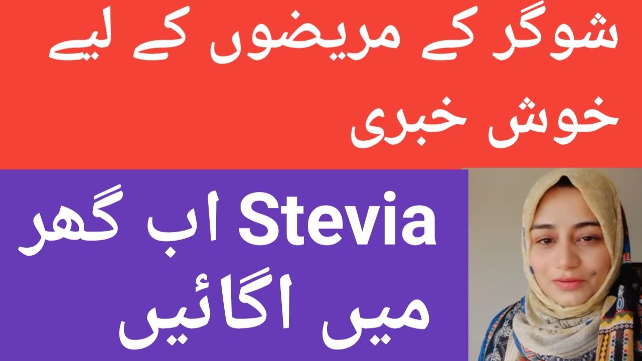 good-news-for-diabetes-patietns-i-stevia-benefitsi-grow-stevia-easily-i