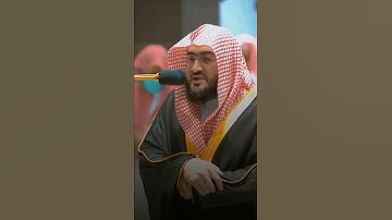 تلاوة هادئة للقارئ |فضيلة الشيخ بندر بليلة ✨💛