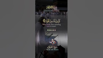 سورة الشعراء (217-220) وَتَوَكَّلْ عَلَى الْعَزِيزِ الرَّحِيمِ (217 💦❤️🌸