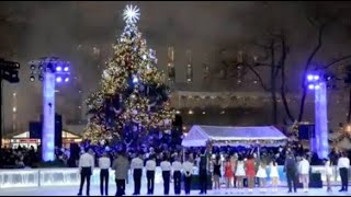 NYC Kicks Off Christmas With Bryant Park Tree Lighting