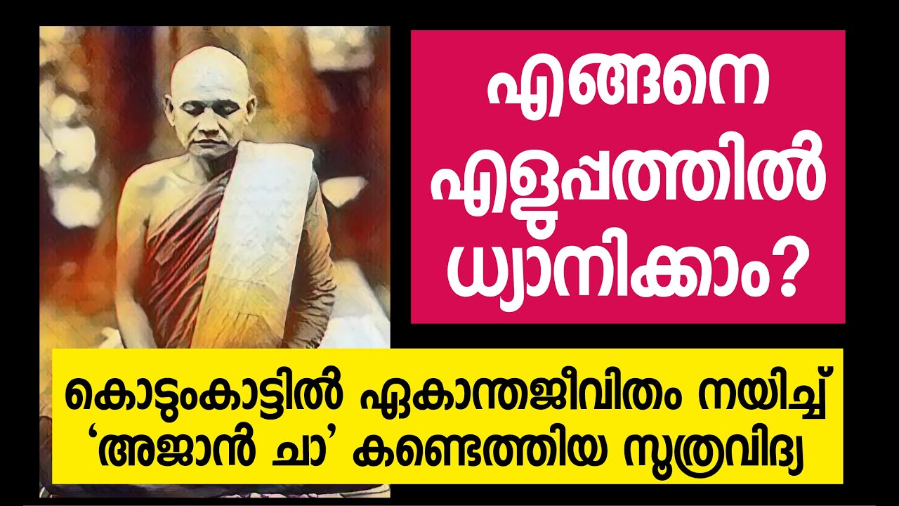 കൊടുംകാട്ടിൽ നിന്ന് അജാൻ  ചാ കണ്ടെത്തിയ ധ്യാനരഹസ്യം || How to meditate with out controlling mind